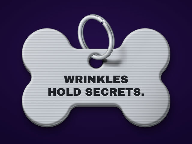 Stainless bone tag